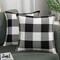 Buffalo Plaid Check Spring Throw Pillow Covers 18x18 Set of 2, Outdoor Decorative Farmhouse Pillow Covers with Stitched Edge for Bed Couch Sofa, Black and White
